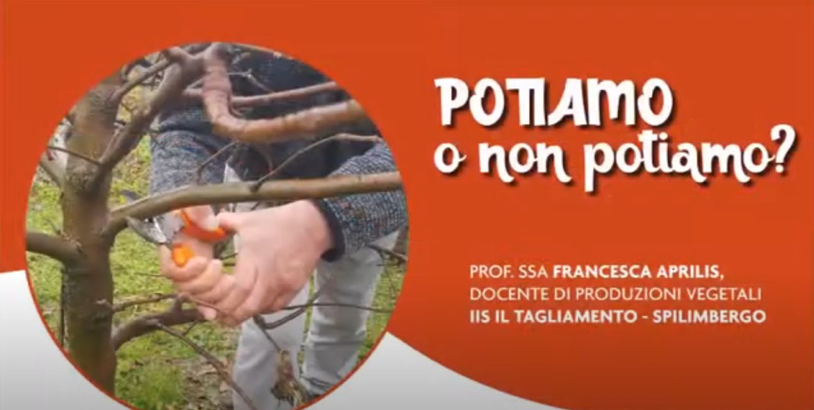 POTIAMO O NON POTIAMO...?