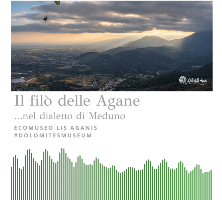 DIALETTO DI MEDUNO