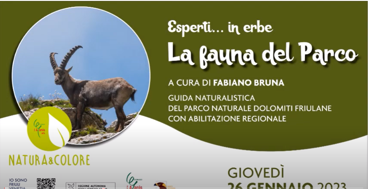 FAUNA DEL PARCO