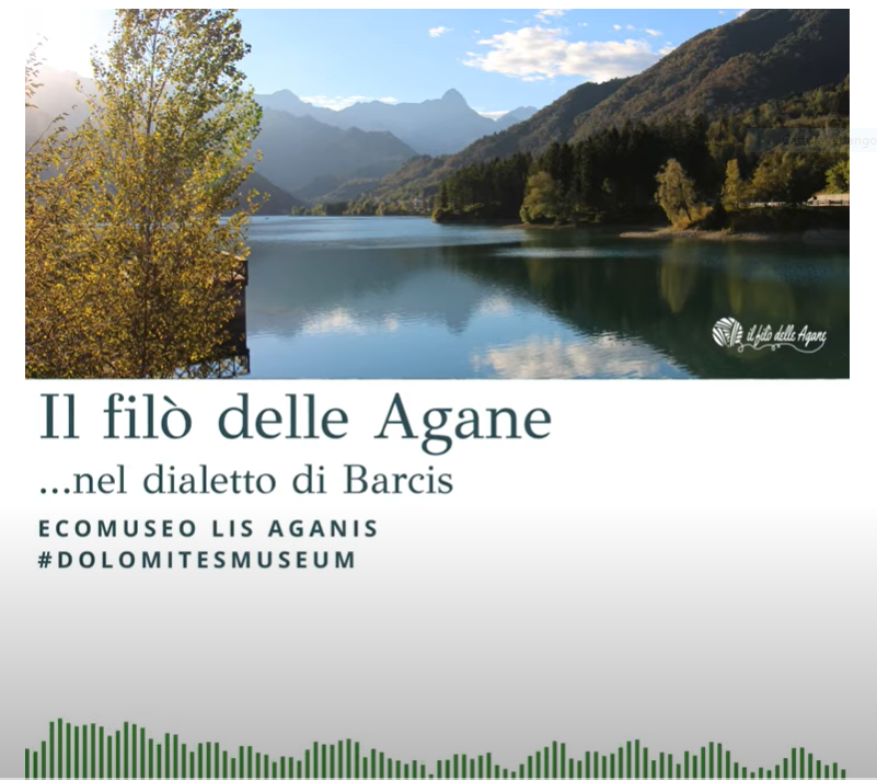 DIALETTO DI BARCIS