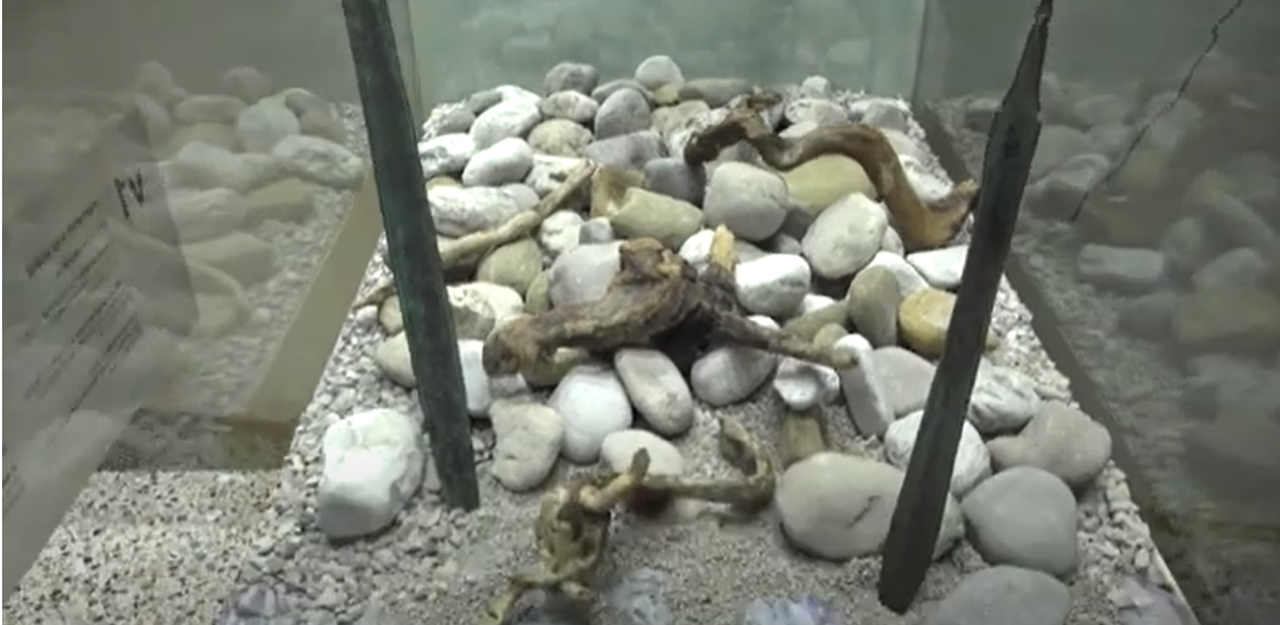 GUERRA E VITA QUOTIDIANA