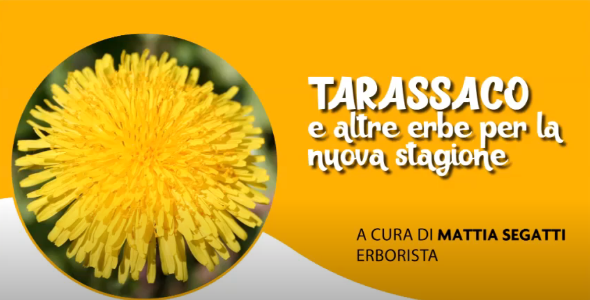 TARASSACO ED ERBE
