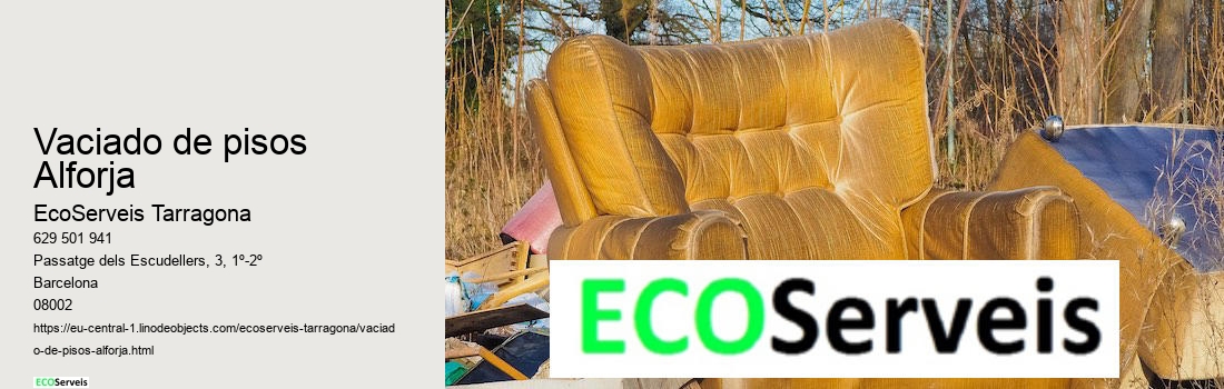 Vaciado de pisos Alforja