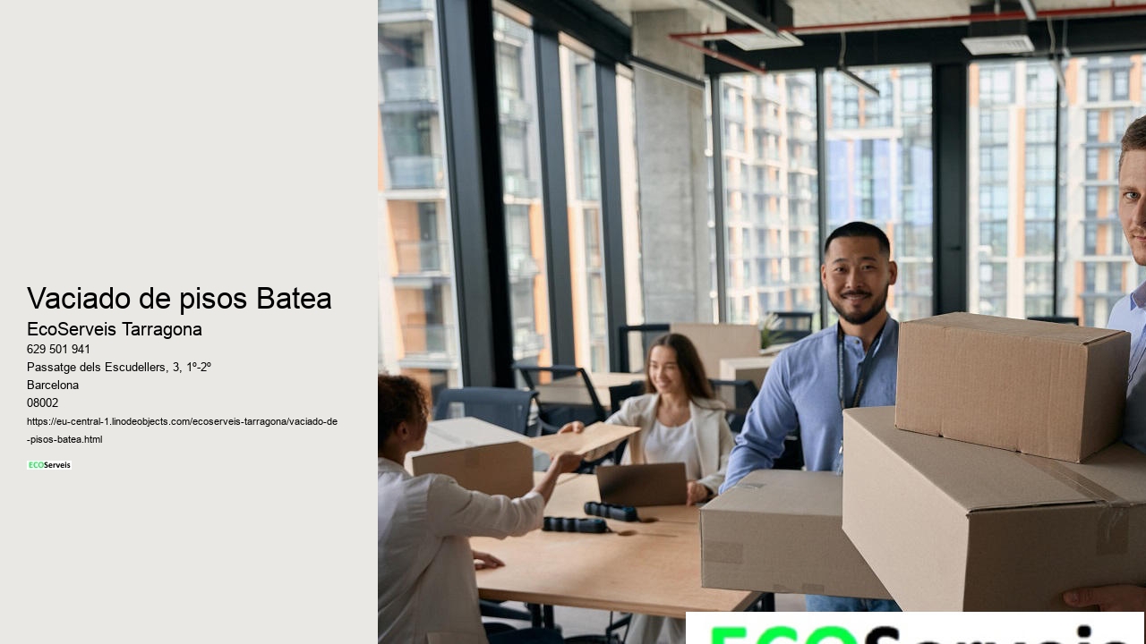 Vaciado de pisos Batea