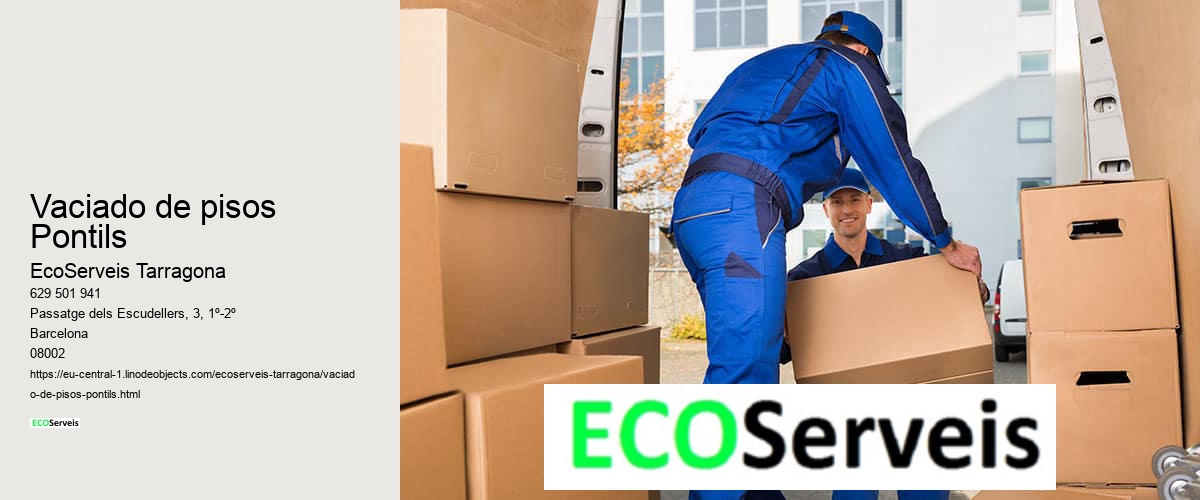 Vaciado de pisos Pontils