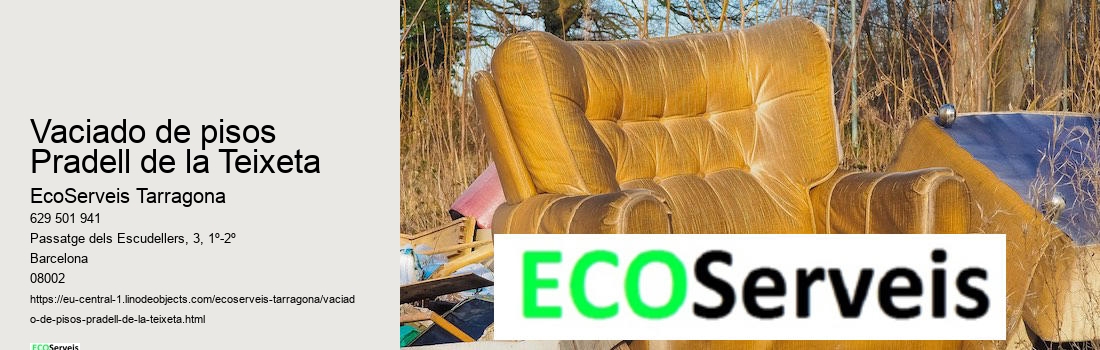 Vaciado de pisos Pradell de la Teixeta