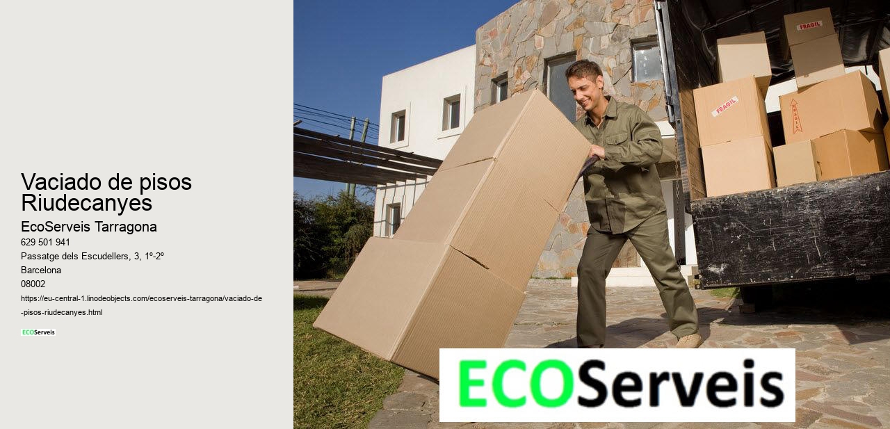 Vaciado de pisos Riudecanyes