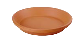 PLATO BARRO 21
