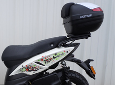 HERRAJE PIAGGIO (WEB) TYPHOON 50/125 (11-23)
