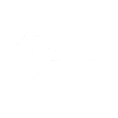 Fanmode Logo Image
