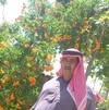 Om Alhadidi