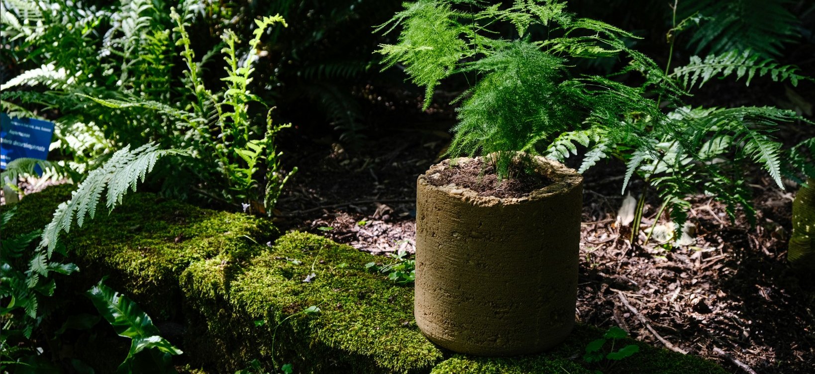 Introducing Aarde Collective