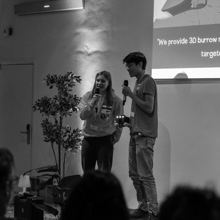 BK-Launch BW