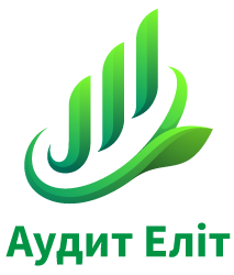 Аудит Еліт - фото 