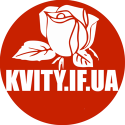 KVITY.IF.UA - фото KVITY.IF.UA - фото
