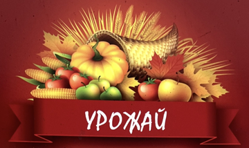 Урожай - фото 
