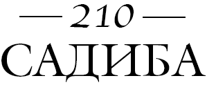 210 - фото 