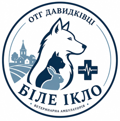 ОТГ Давидківці "Біле ікло" - фото ОТГ Давидківці "Біле ікло" - фото
