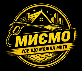 Миємо усе що можна мити - фото 