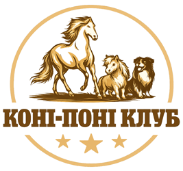 Коні-Поні Клуб - фото 