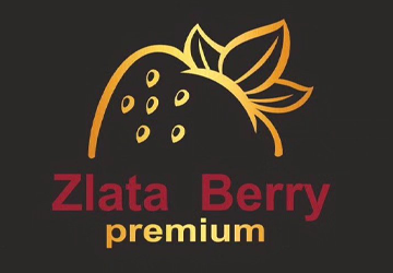 zlata.berry - фото 