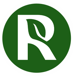 Roslynka vegan cafe - фото 