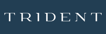 Trident Development - фото 