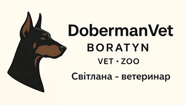 DobermanVet Boratyn - фото 