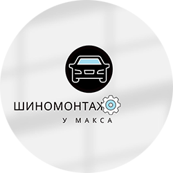 У Макса - фото 