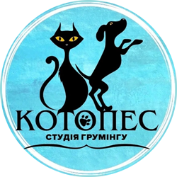 Котопес - фото 