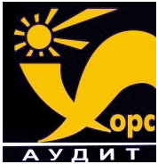 Хорс-аудит - фото 