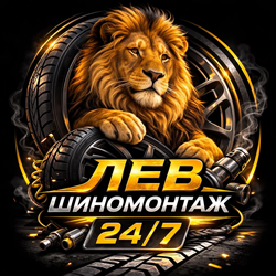 shyno_montazhlviv - фото 