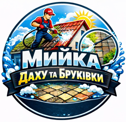 Миття бруківки і даху - фото 