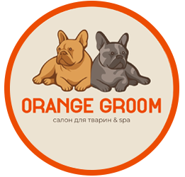 Orange Groom - фото 