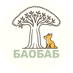 Баобаб - фото 