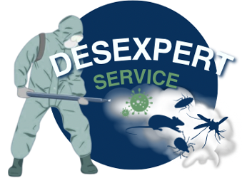 DesExpert - фото 
