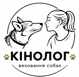 Послуги кінолога - фото 