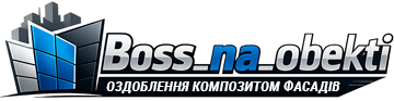 Boss_na_obekti - фото 