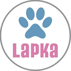 LAPKA - фото 