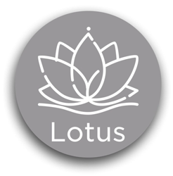 Lotus - фото 