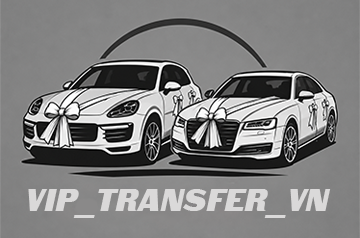 vip_transfer_vn - фото 