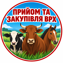 Прийом та закупівля врх - фото 