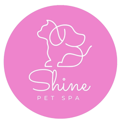 shine_petspa - фото shine_petspa - фото
