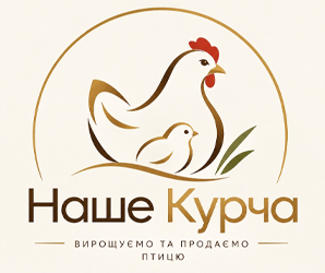 Наше курча - фото Наше курча - фото