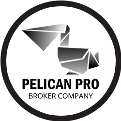 PELICAN PRO - фото 