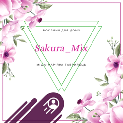 Sakura_Mix - фото 