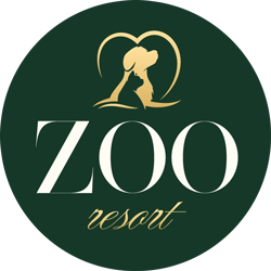 Zoo Resort - фото 