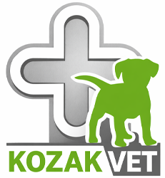 Ветеринарна аптека - фото 