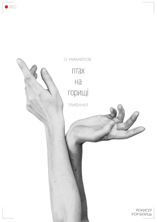 Птах на горищі - фото Птах на горищі - фото