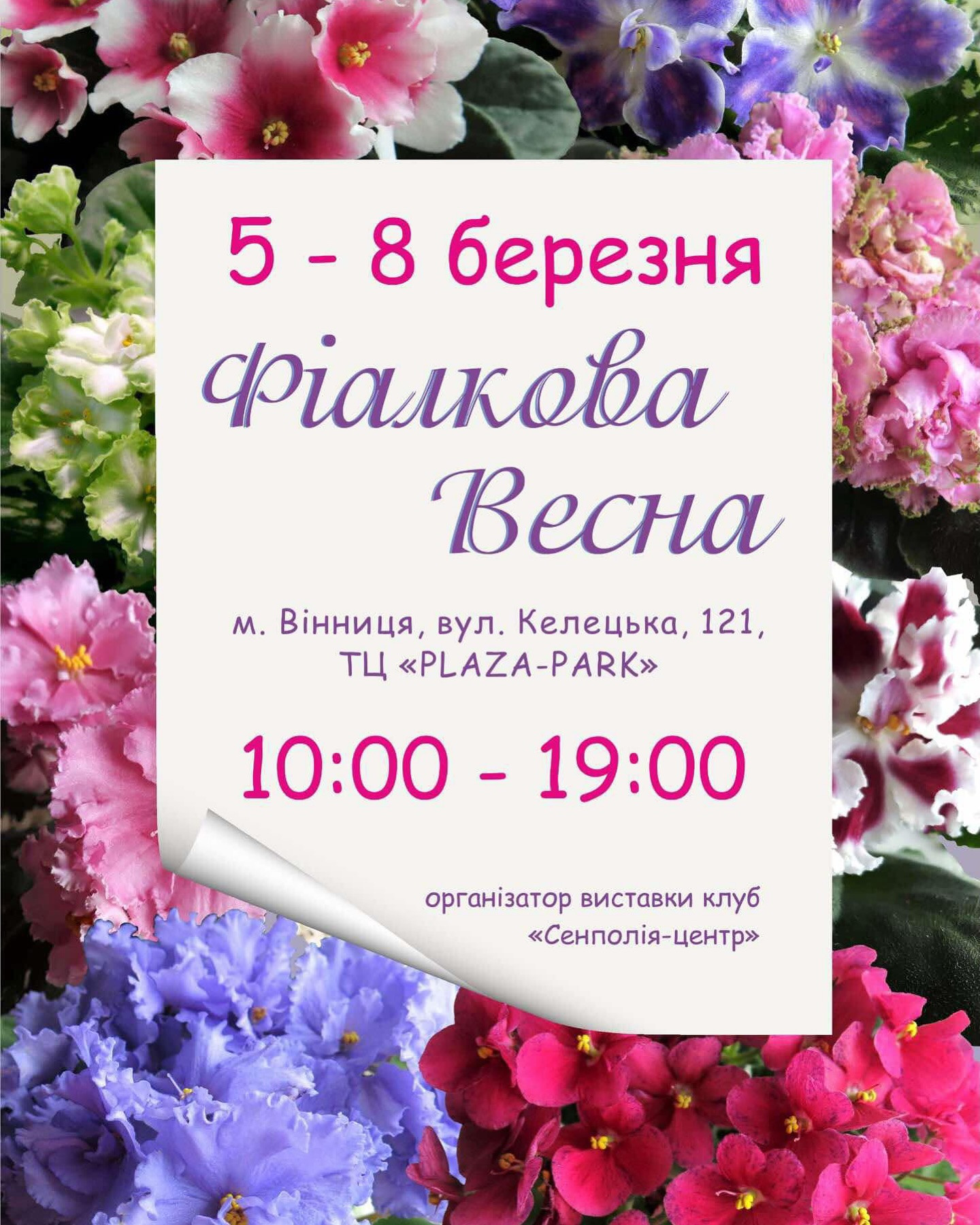 Виставка "Фіалкова весна" - фото Виставка "Фіалкова весна" - фото